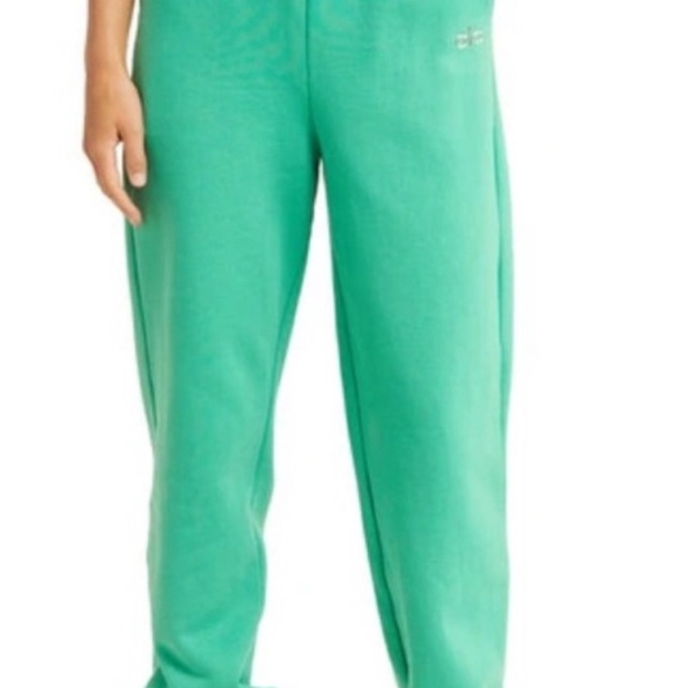 ALO Yoga Teal Joggers